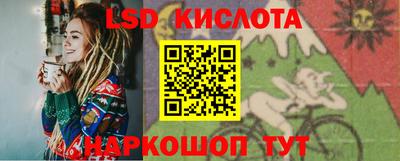 гашик Сланцы
