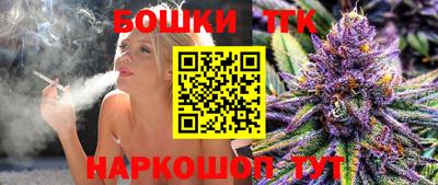 гашик Сланцы